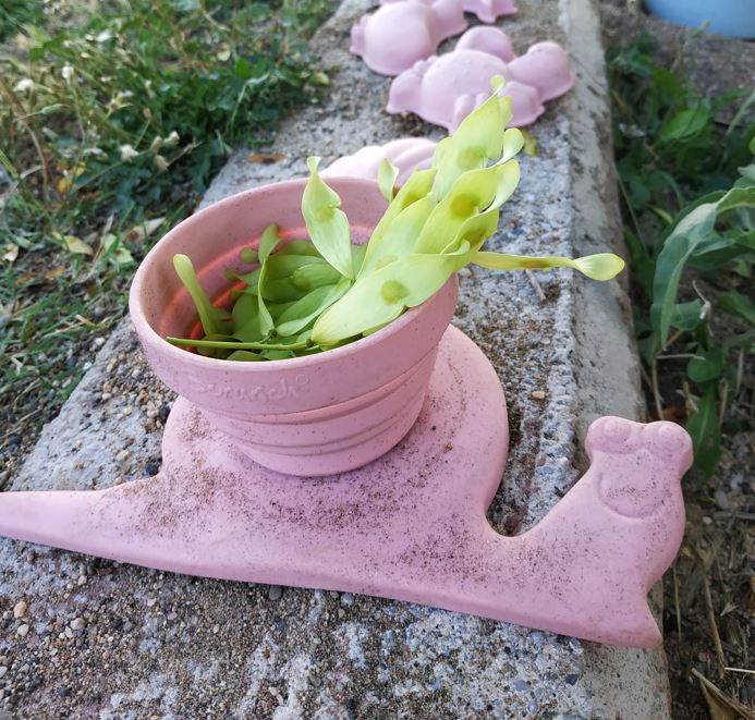 Scrunch :Πτυσσόμενο κουβαδάκι σαλιγκάρι από σιλικόνη- επιλέξτε χρώμα