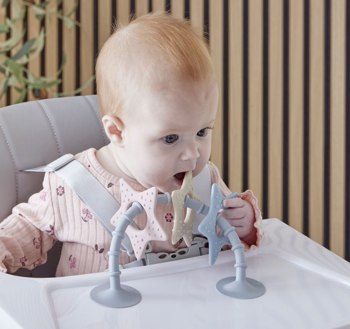 Shnuggle Αισθητηριακό παιχνίδι με βεντούζα και μασητικά